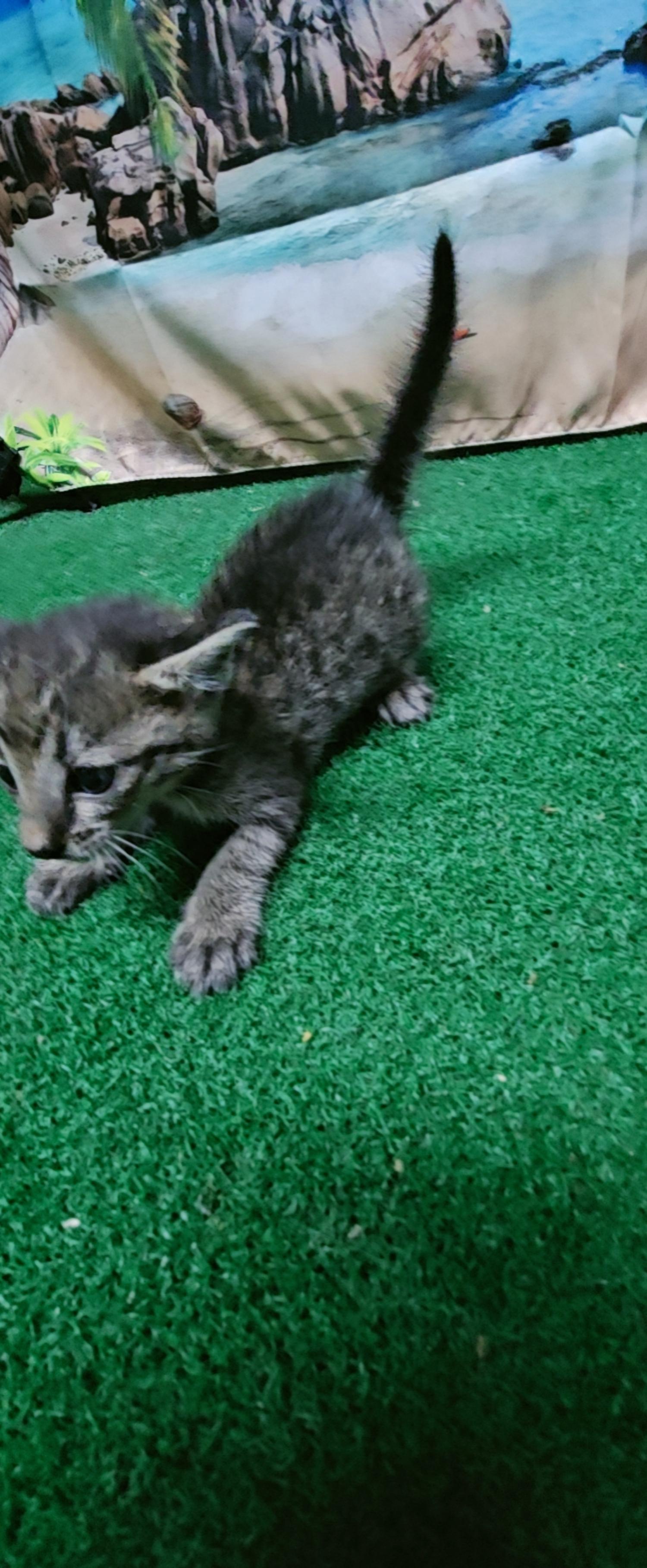 종료(자연사) 한국…